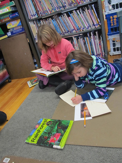 Creating a Nature-Classroom Interface