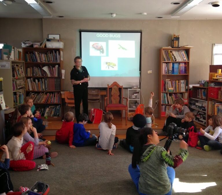 Stink Bug Mystery Guest