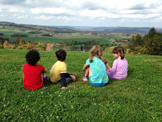 Highland Forest, October 2014