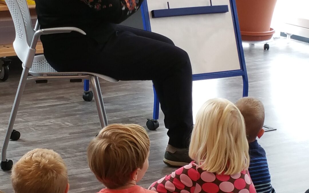 Community Library of Dewitt