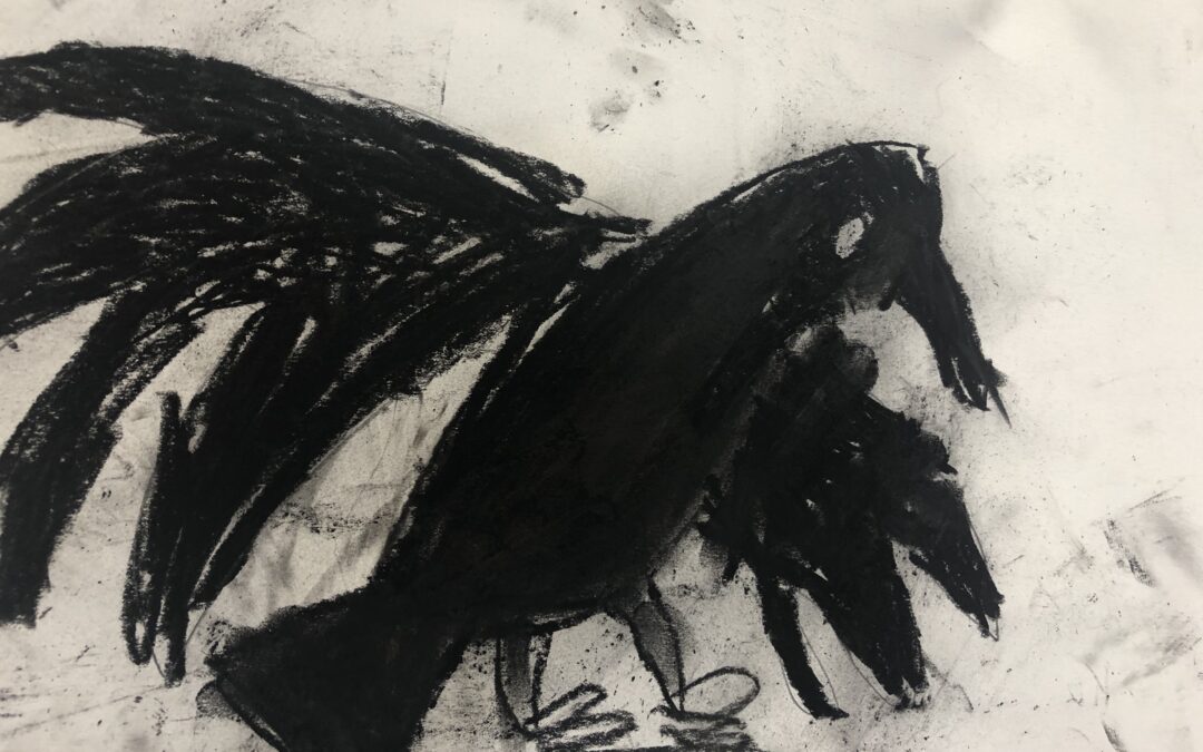 Crow Drawings
