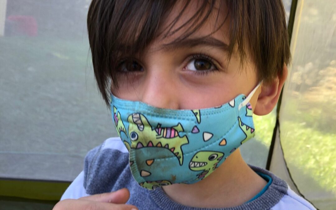 Caterpillars, Butterflies, Moths and Bees