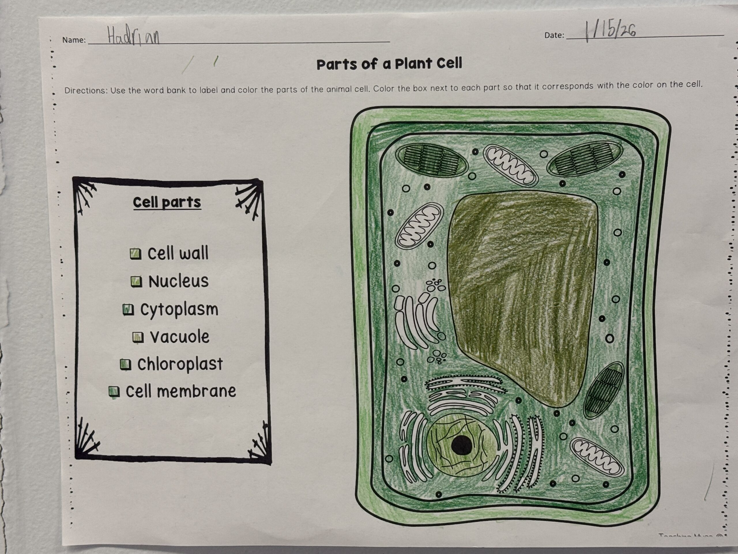 Microworld Continued